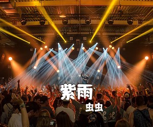 虫虫《紫雨吉他谱》(G调)