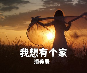 潘美辰《我想有个家吉他谱》(G调)