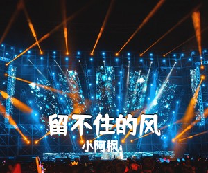 小阿枫《留不住的风吉他谱》(G调)
