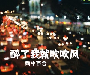 雨中百合《醉了我就吹吹风简谱》