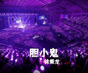 徐秉龙《胆小鬼吉他谱》(C调)