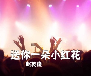 赵英俊《送你一朵小红花吉他谱》(G调)