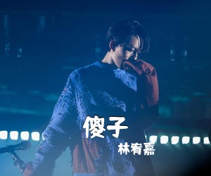 林宥嘉《傻子吉他谱》