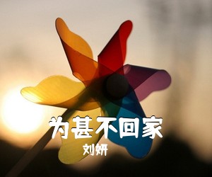 冯海龙《为甚不回家简谱》