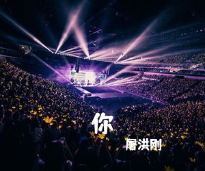 屠洪刚《你吉他谱》(C调)