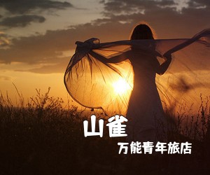 万能青年旅店《山雀吉他谱》(G调)