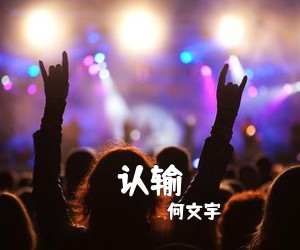 何文宇《认输吉他谱》(C调)