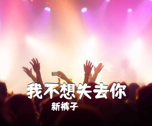 新裤子《我不想失去你吉他谱》(G调)