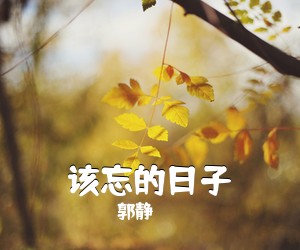 郭静《该忘的日子吉他谱》