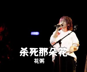 花粥《杀死那朵花吉他谱》(C调)