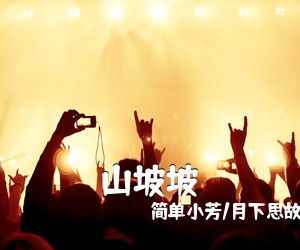 崔岩光《梅花梦简谱》