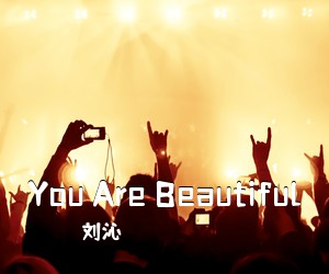 刘沁《You Are Beautiful吉他谱》(G调)