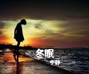 宁静《冬眠吉他谱》(C调)