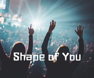《Shape of You吉他谱》(C调)