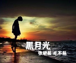 林萍《幸福之火简谱》