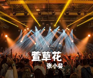 张小斐《萱草花吉他谱》(G调)