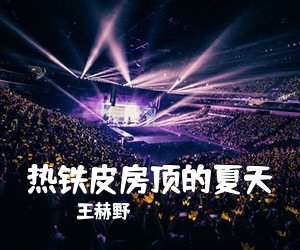 王赫野《热铁皮房顶的夏天吉他谱》(C调)