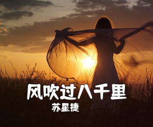 苏星捷《风吹过八千里吉他谱》(G调)