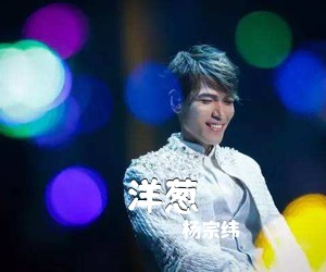 杨宗纬《洋葱吉他谱》(C调)