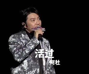 阿杜《活过吉他谱》(D调)