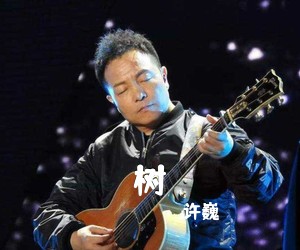 许巍《树吉他谱》(E调)
