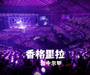 容中尔甲《香格里拉简谱》