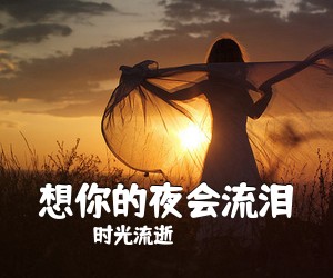 时光流逝《想你的夜会流泪吉他谱》(G调)