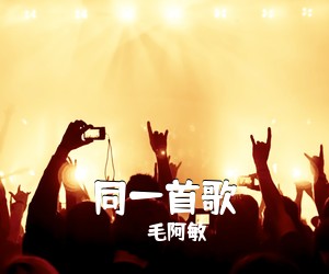 毛阿敏《同一首歌吉他谱》(C调)