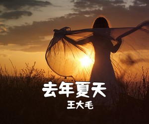 王大毛《去年夏天吉他谱》(G调)