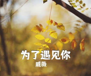 戚薇《为了遇见你吉他谱》(G调)