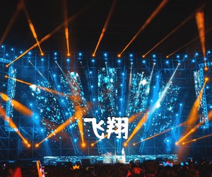 《飞翔吉他谱》(G调)
