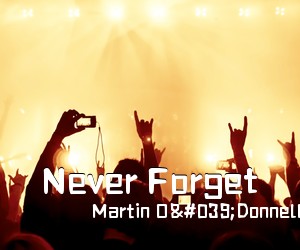 Martin O'Donnell Michael Salvatori《Never Forget简谱》