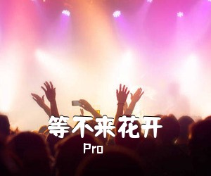 Pro《等不来花开吉他谱》(C调)