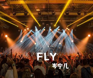 岑宁儿《FLY吉他谱》(C调)