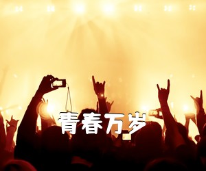 《青春**吉他谱》(G调)