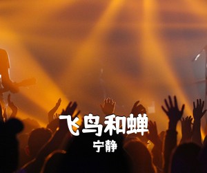 宁静《飞鸟和蝉吉他谱》(C调)