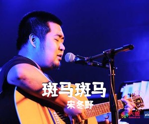 宋冬野《斑马斑马吉他谱》(C调)