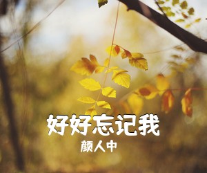 颜人中《好好忘记我吉他谱》(G调)