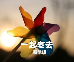 薛凯琪《一起老去吉他谱》