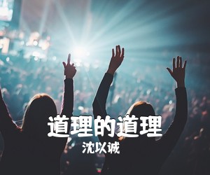沈以诚《道理的道理吉他谱》(C调)