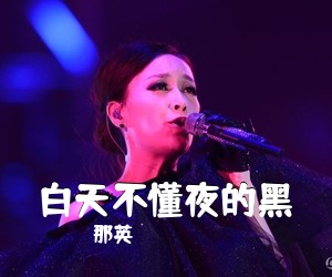 那英《白天不懂夜的黑吉他谱》(G调)