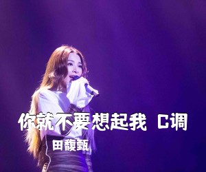 田馥甄《你就不要想起我  C调吉他谱》(C调)