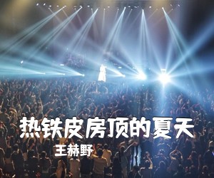 王赫野《热铁皮房顶的夏天吉他谱》(C调)