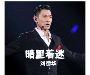 刘德华《暗里着迷吉他谱》(G调)