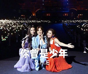 S.H.E《你曾是少年吉他谱》