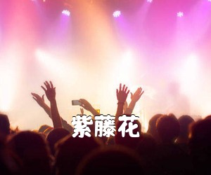 《紫藤花吉他谱》(G调)