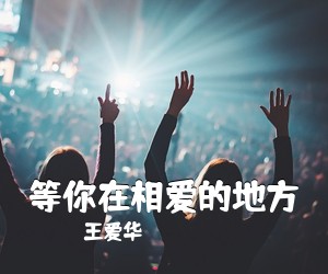王爱华《等你在相爱的地方简谱》