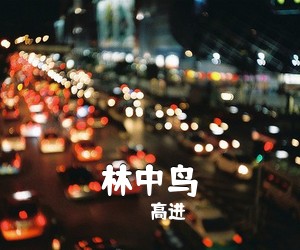 高进《林中鸟吉他谱》(C调)