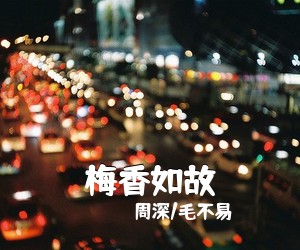周深/毛不易《梅香如故吉他谱》(G调)