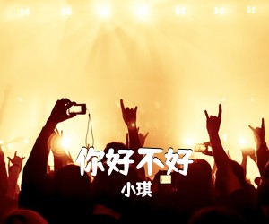 小琪《你好不好吉他谱》